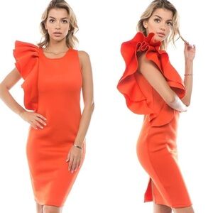 Voila One-Shoulder Ruffle Bodycon Dress / Small